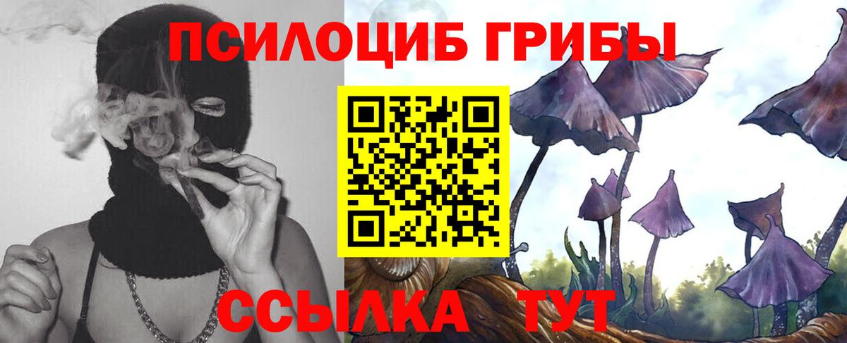 Псилоцибиновые грибы Psilocybe  Вход с VPN  Красноуфимск 